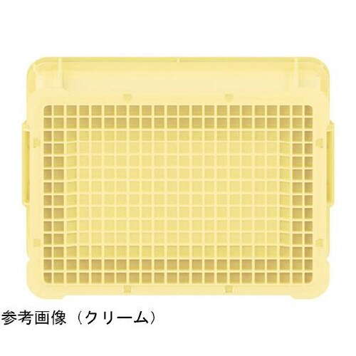 サンボックス #24A−2 クリーム 2