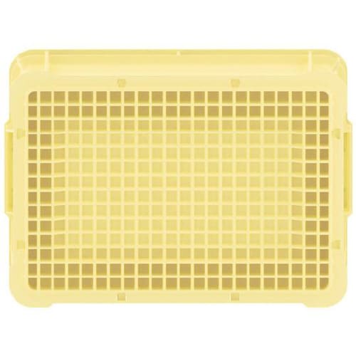 サンボックス #24B−3 クリーム 2