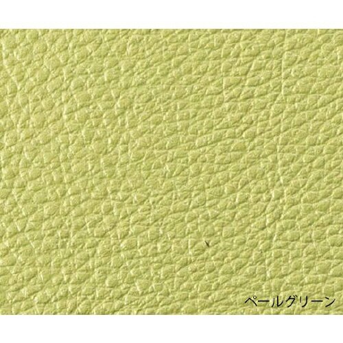 TSS−W13BLペールグリーン チェア