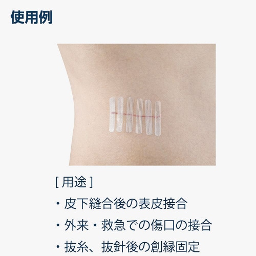 ナビストリップ SC675