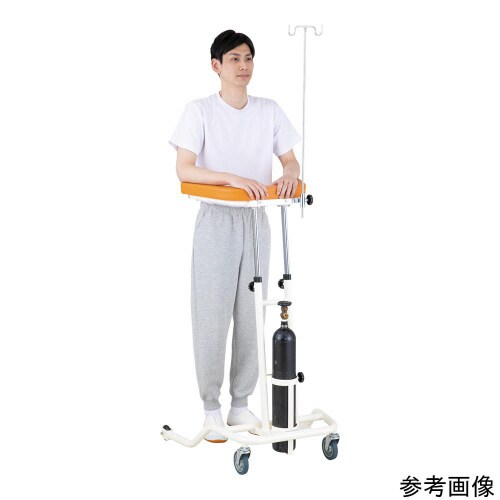 らくらくあるくん(R)低床型 Rkun−