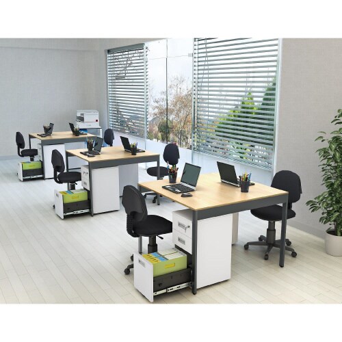 フリーアドレスデスク1010NA