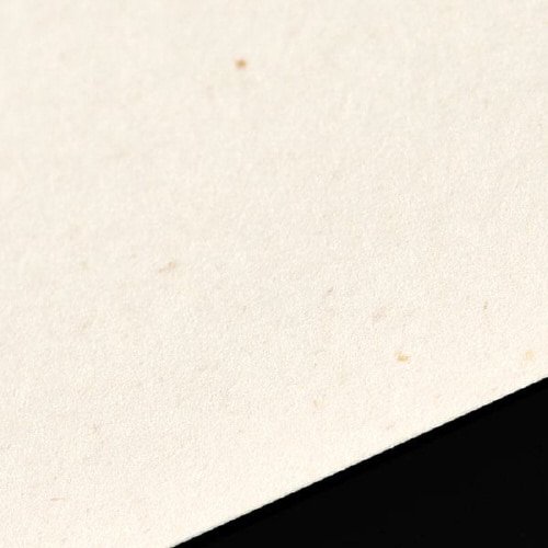 名刺用紙 10面付 バナナペーパー 110枚