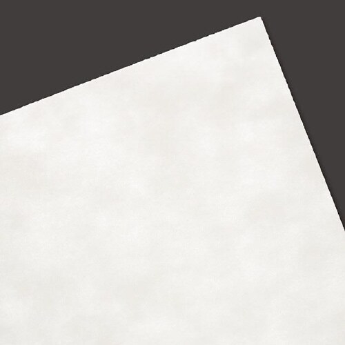 名刺用紙 10面付 竹ホワイト100 110枚