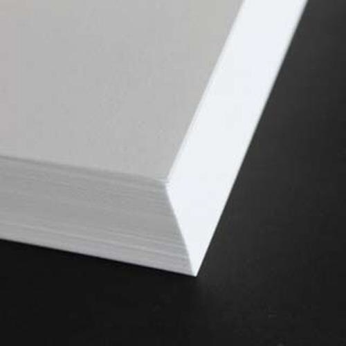 はがき No.6 ケント 100枚