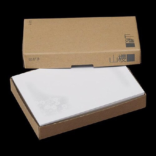 弔事はがき 淡菊 100枚