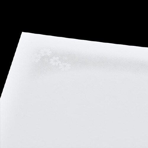 弔事はがき 淡菊 100枚