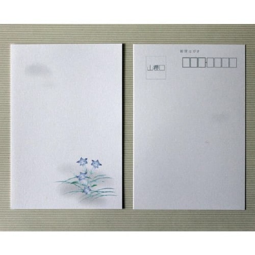 喪中はがき 桔梗 薄口 100枚