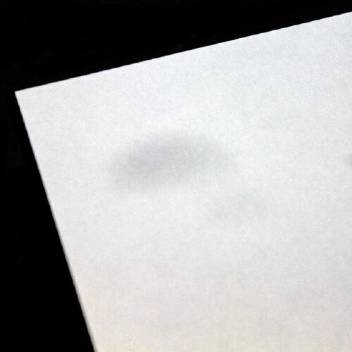 喪中はがき 桔梗 薄口 100枚