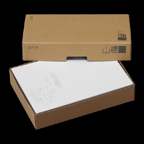 弔事はがき 偲ぶ菊 100枚