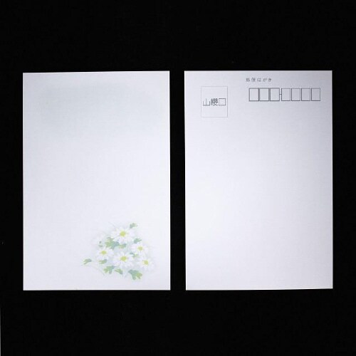 喪中はがき 白菊 100枚