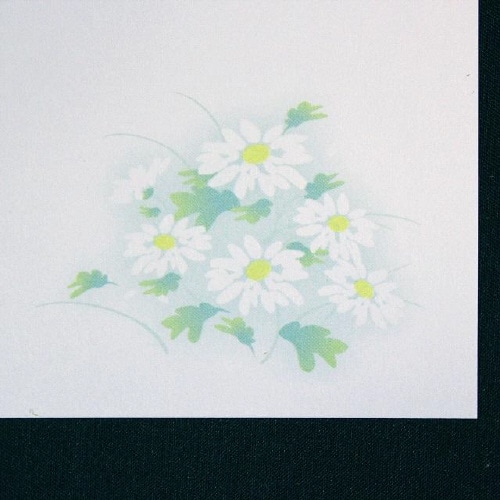 喪中はがき 白菊 100枚