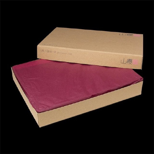 挨拶状カード 1号二折 金縁 大礼紙 50枚