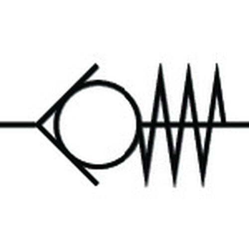 PISCO チェックバルブ ユニオンストレート樹脂