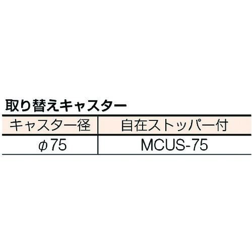 シンコー ステンレスワゴン(SUS430) 天地2
