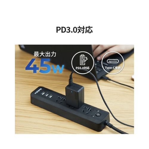 純正 45WType−CポータブルACアダプタ