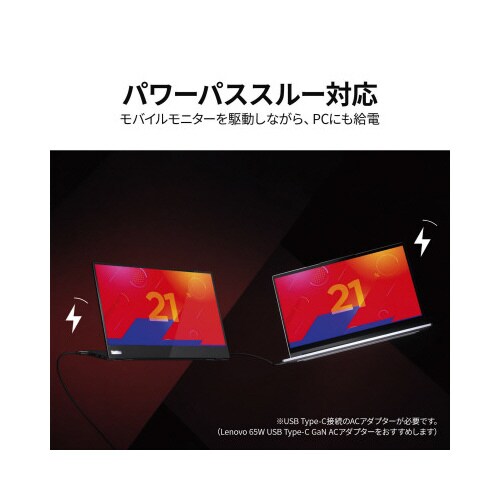 ThinkVision M14d