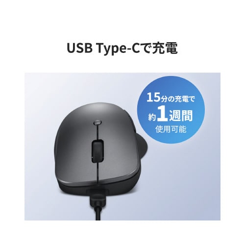 純正 プロフェッショナル充電式マウス