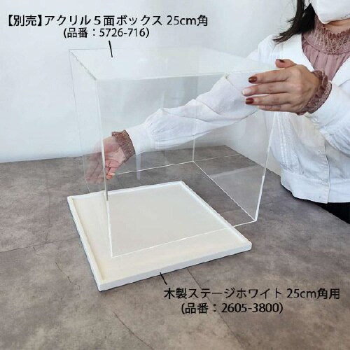 木製ステージ 25cm角用 ホワイト 2枚入