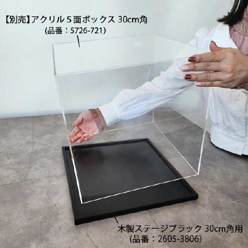 木製ステージ 30cm角用 ブラック 2枚入