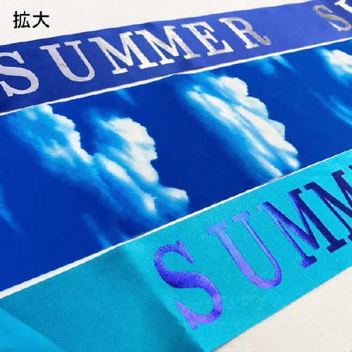 サマー2連ペナント