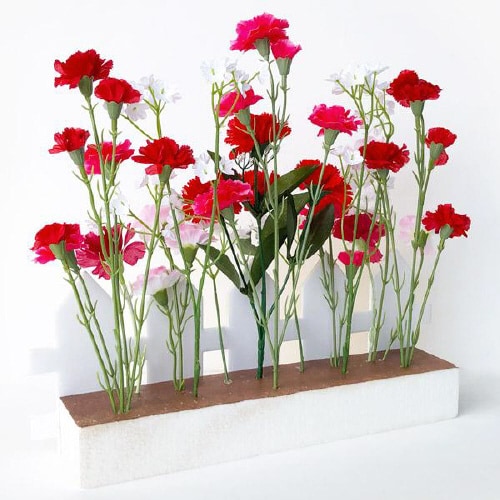 カーネーション垣根スタンド