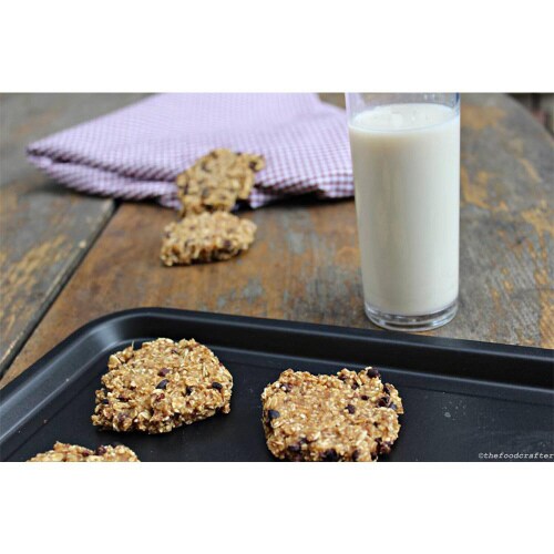 キタノ商事 オーガニックジャンボオーツ800g2個