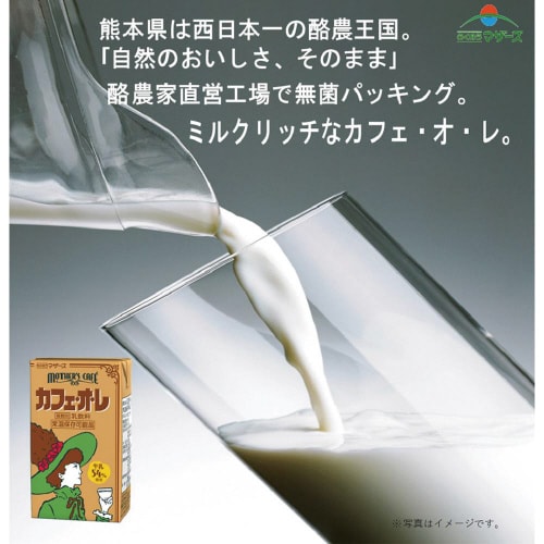 らくのうマザーズ カフェ・オ・レ 250ml×24