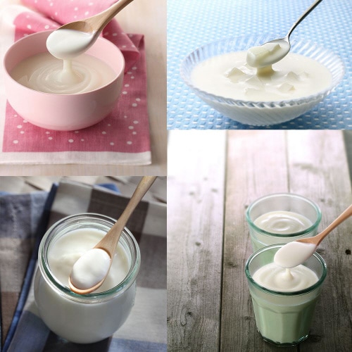 フジッコ カスピ海ヨーグルト 種菌 3g2P×3個