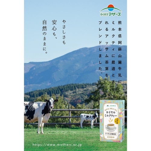 熊本県酪農業協同組合 ロイヤルミルクティ 24本