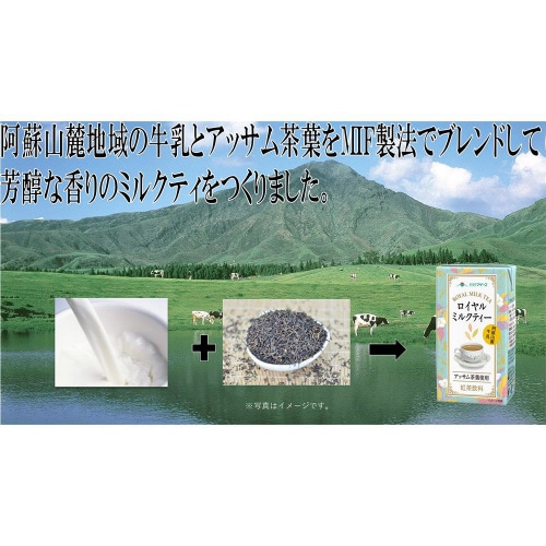 熊本県酪農業協同組合 ロイヤルミルクティ 24本