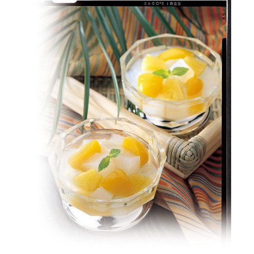 フジッコ 業務用 国内産ナタデココ 500g10個