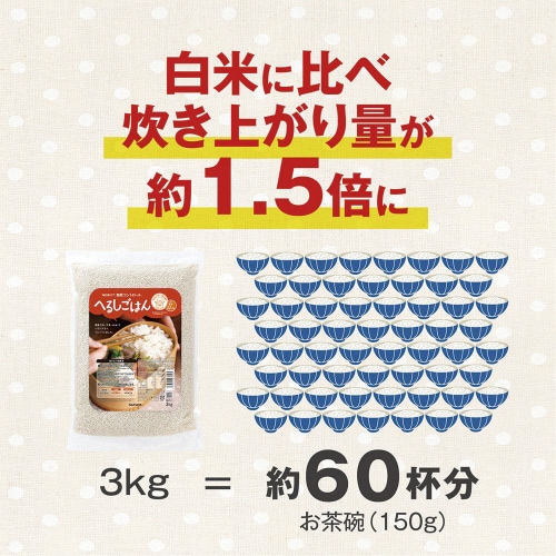 サラヤ へるしごはん 生米タイプ 3kg×3個