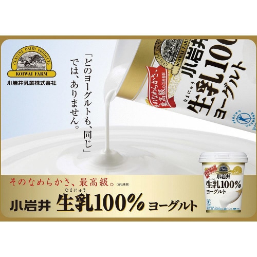 【冷蔵】生乳100%ヨーグルト 400g×6個