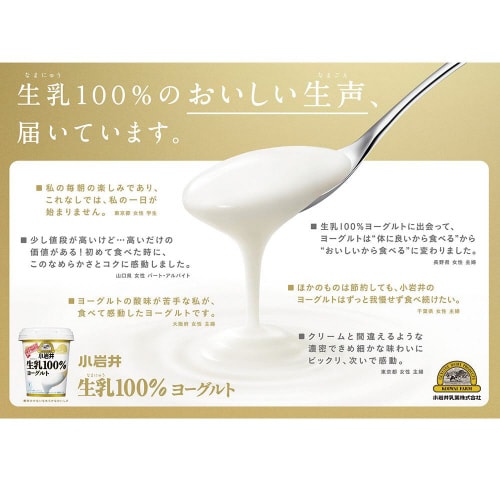 【冷蔵】生乳100%ヨーグルト 400g×6個