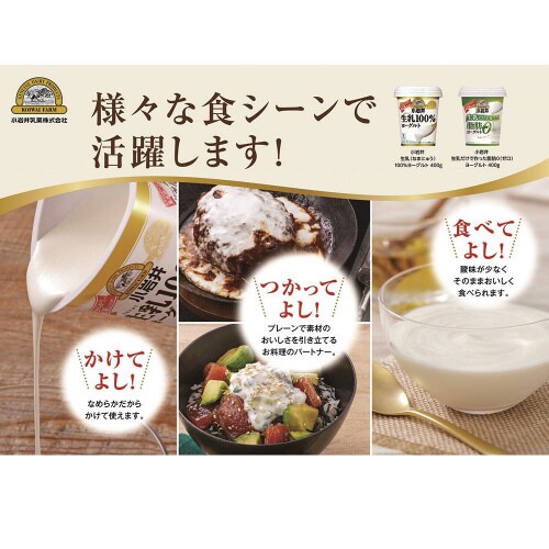 【冷蔵】生乳100%ヨーグルト 400g×6個