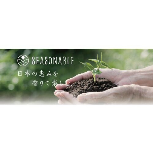 シーズナブルプレート 3489