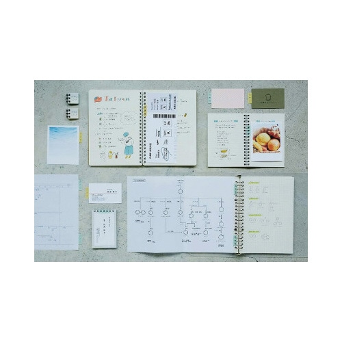 リングリーフ ミズイロX10