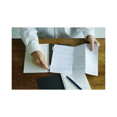 リングリーフ ミズイロX10