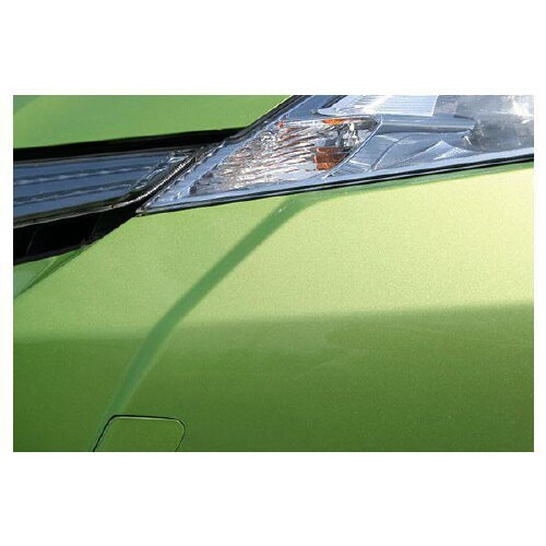 虫・フン取リシート 04119