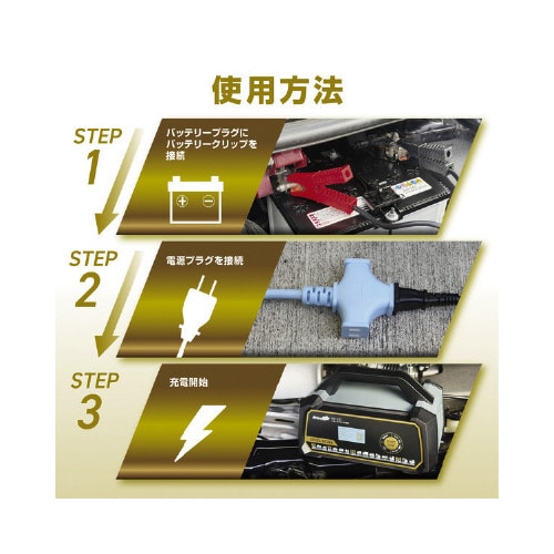 ウルトラパルスバッテリー充電器 大型まで