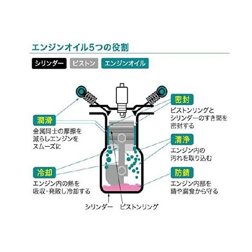ループ ベーシックケア LP−48
