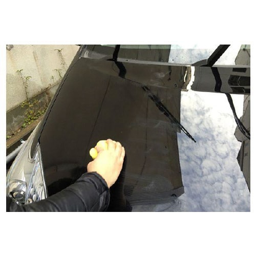 カーワックス(WAX) 00193