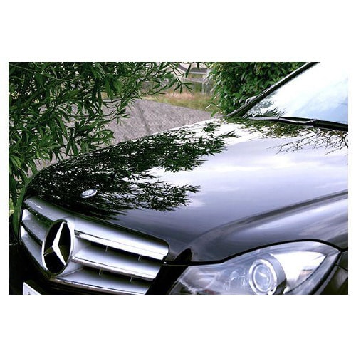 カーシャンプー 04290