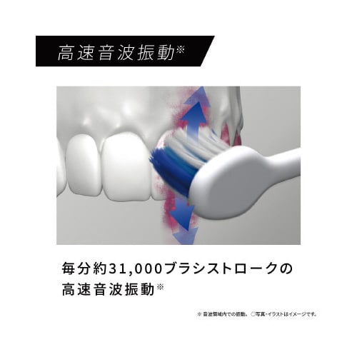 音波振動ハブラシ ドルツ