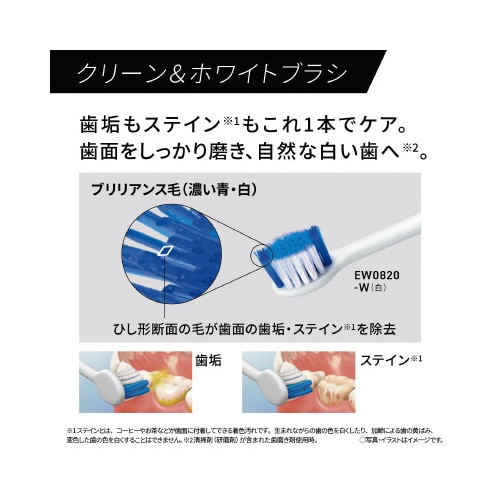 音波振動ハブラシ ドルツ