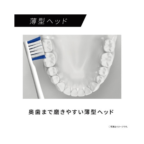 音波振動ハブラシ ドルツ