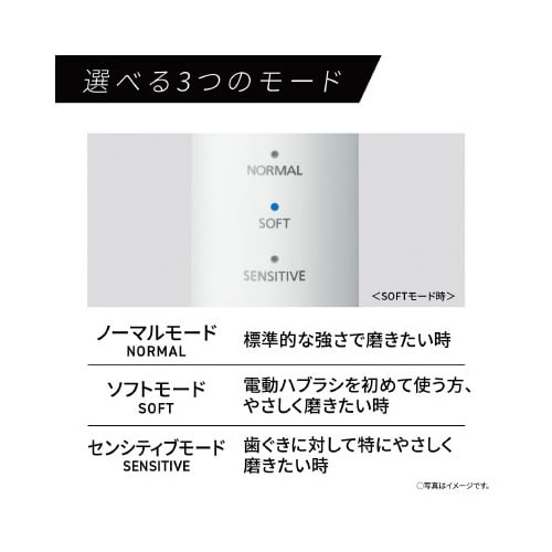 音波振動ハブラシ ドルツ