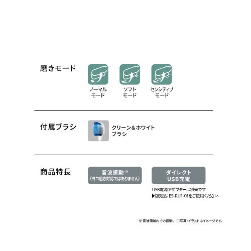 音波振動ハブラシ ドルツ