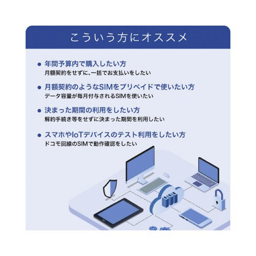 IIJBiz プリペイドSIM(3GB/1ヶ月)